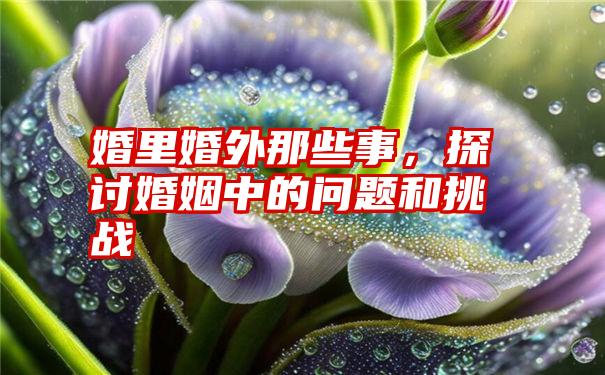 婚里婚外那些事，探讨婚姻中的问题和挑战