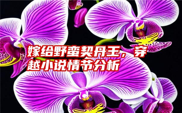 嫁给野蛮契丹王，穿越小说情节分析