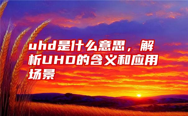 uhd是什么意思，解析UHD的含义和应用场景