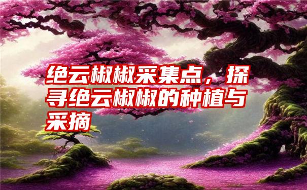 绝云椒椒采集点，探寻绝云椒椒的种植与采摘