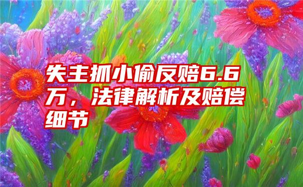 失主抓小偷反赔6.6万，法律解析及赔偿细节