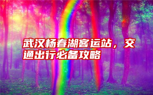 武汉杨春湖客运站，交通出行必备攻略