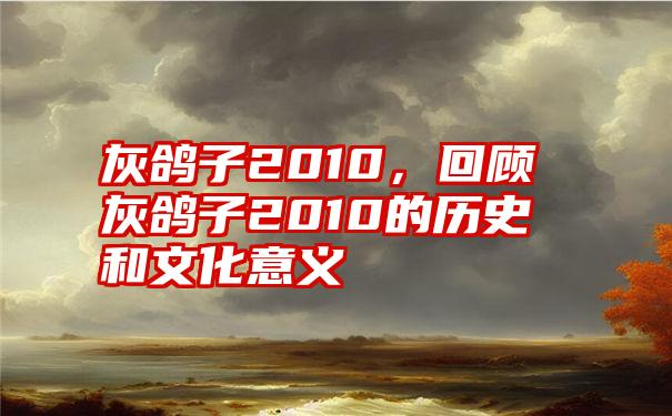 灰鸽子2010，回顾灰鸽子2010的历史和文化意义