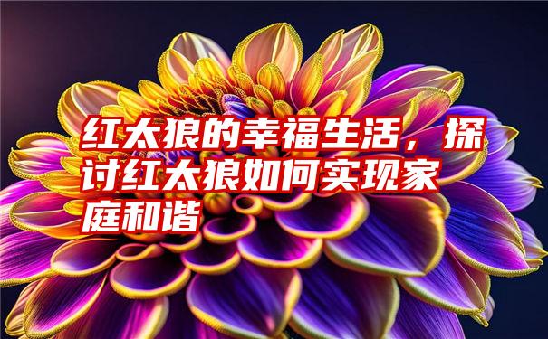 红太狼的幸福生活，探讨红太狼如何实现家庭和谐