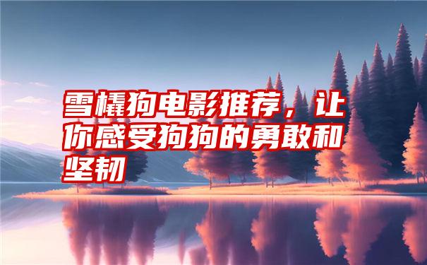 雪橇狗电影推荐，让你感受狗狗的勇敢和坚韧