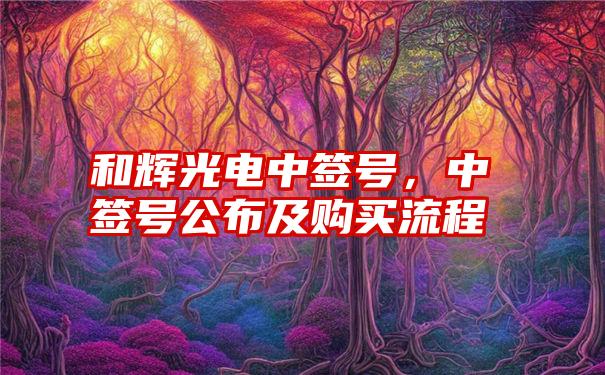 和辉光电中签号，中签号公布及购买流程