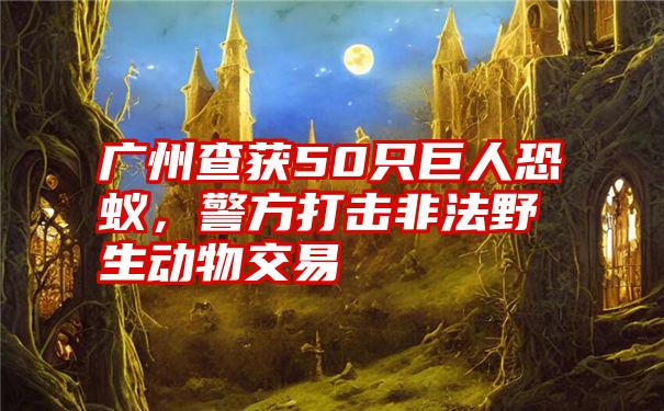 广州查获50只巨人恐蚁，警方打击非法野生动物交易