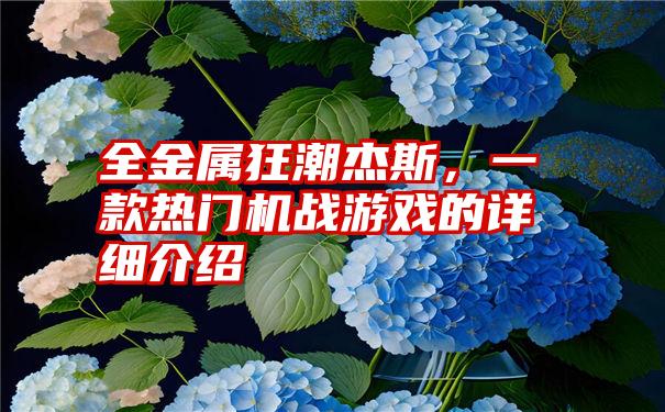 全金属狂潮杰斯，一款热门机战游戏的详细介绍