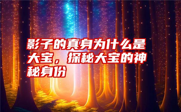 影子的真身为什么是大宝，探秘大宝的神秘身份