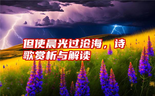 但使晨光过沧海，诗歌赏析与解读