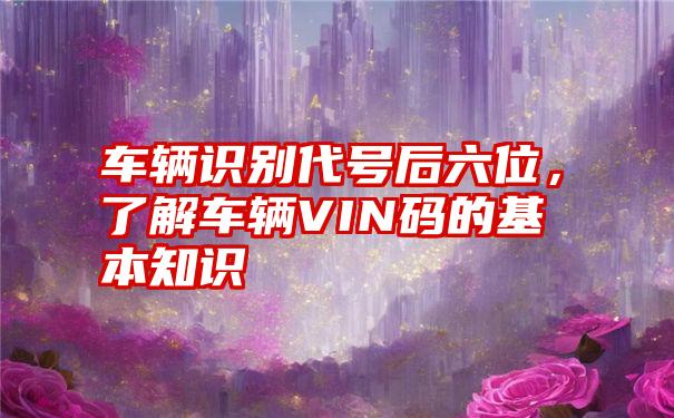 车辆识别代号后六位，了解车辆VIN码的基本知识