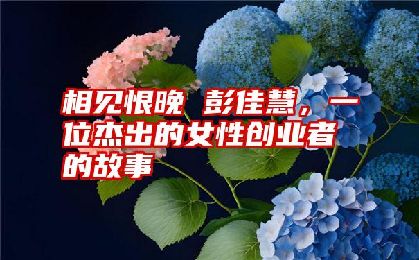 相见恨晚 彭佳慧，一位杰出的女性创业者的故事