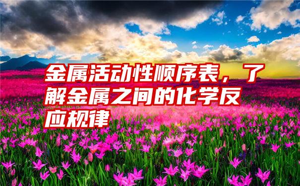 金属活动性顺序表，了解金属之间的化学反应规律