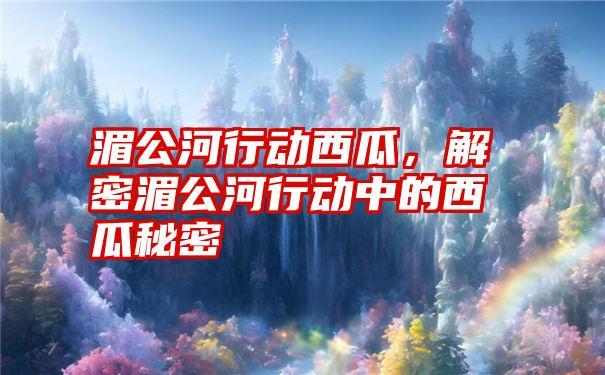 湄公河行动西瓜，解密湄公河行动中的西瓜秘密