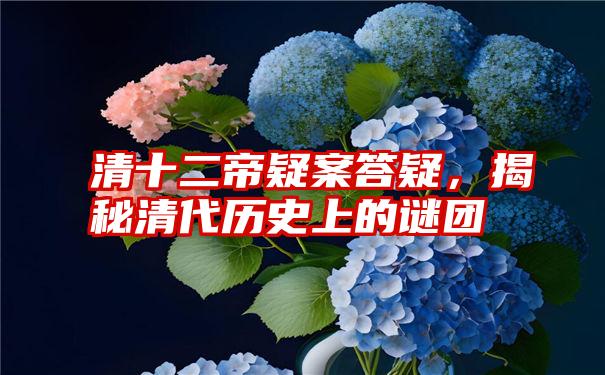 清十二帝疑案答疑，揭秘清代历史上的谜团