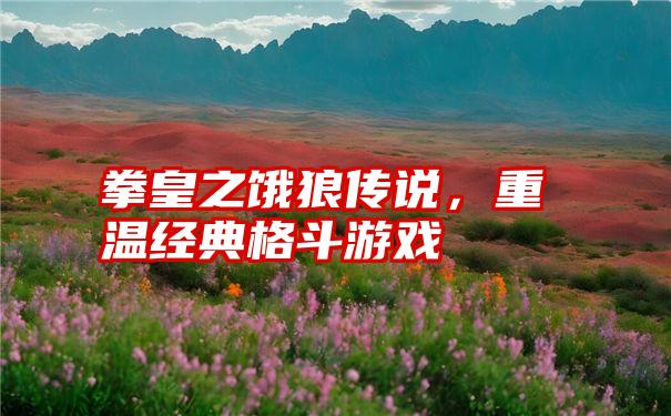 拳皇之饿狼传说，重温经典格斗游戏