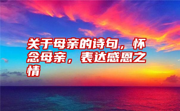 关于母亲的诗句，怀念母亲，表达感恩之情