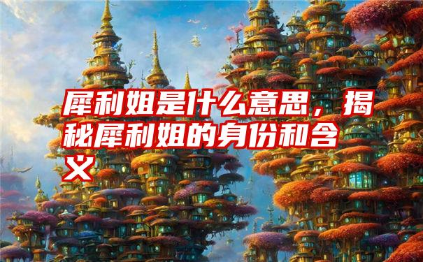 犀利姐是什么意思，揭秘犀利姐的身份和含义