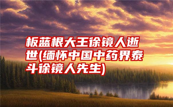 板蓝根大王徐镜人逝世(缅怀中国中药界泰斗徐镜人先生)