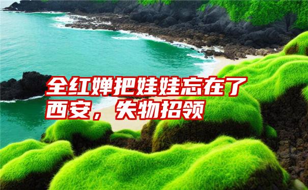 全红婵把娃娃忘在了西安，失物招领