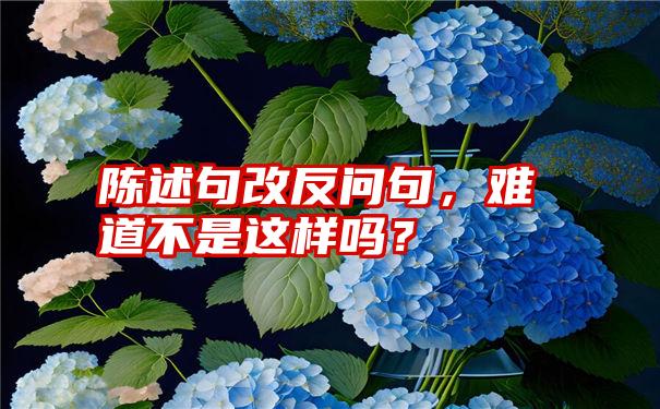 陈述句改反问句，难道不是这样吗？