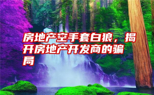 房地产空手套白狼，揭开房地产开发商的骗局