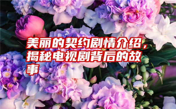 美丽的契约剧情介绍，揭秘电视剧背后的故事