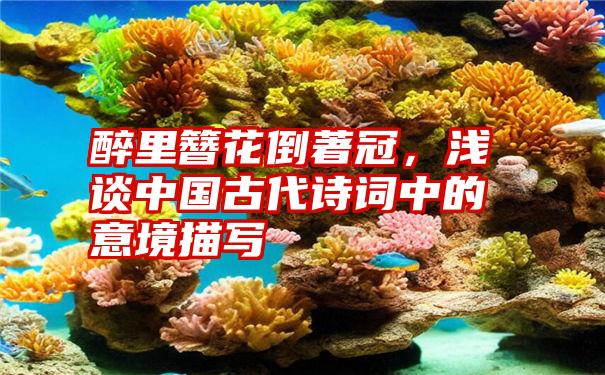 醉里簪花倒著冠，浅谈中国古代诗词中的意境描写