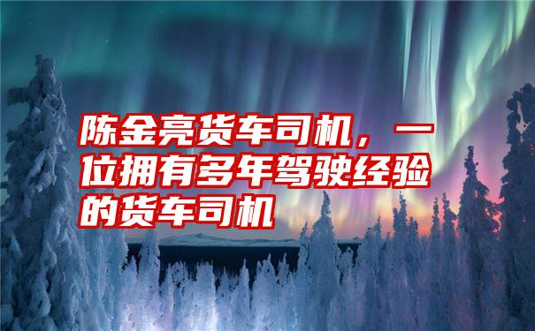 陈金亮货车司机，一位拥有多年驾驶经验的货车司机