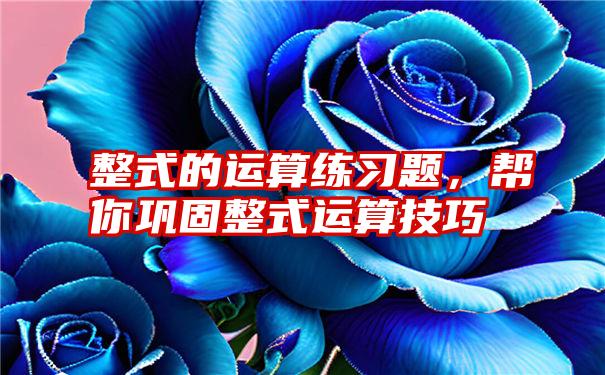 整式的运算练习题，帮你巩固整式运算技巧