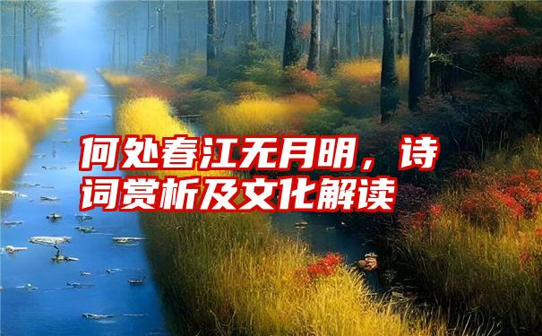 何处春江无月明，诗词赏析及文化解读