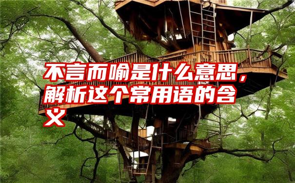 不言而喻是什么意思，解析这个常用语的含义