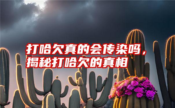 打哈欠真的会传染吗，揭秘打哈欠的真相