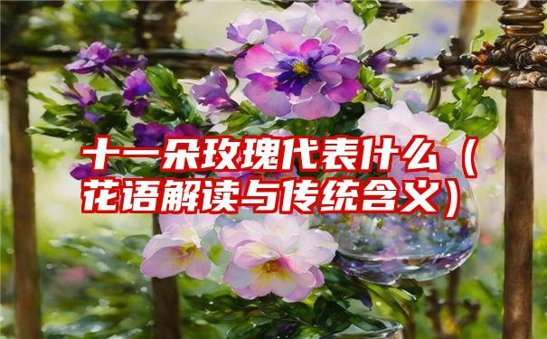 十一朵玫瑰代表什么（花语解读与传统含义）