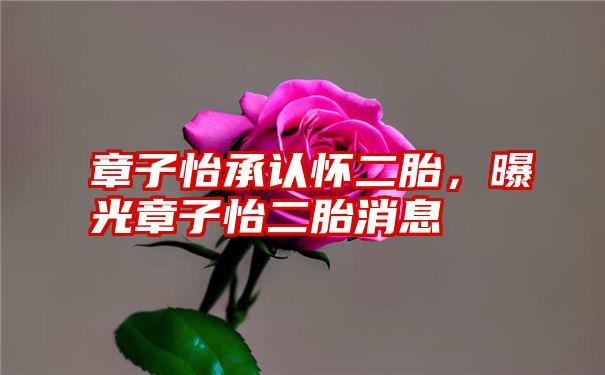 章子怡承认怀二胎，曝光章子怡二胎消息