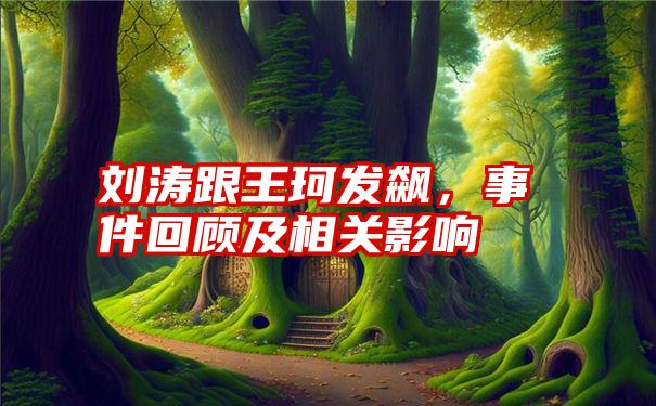 刘涛跟王珂发飙，事件回顾及相关影响