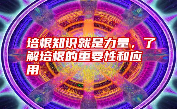 培根知识就是力量，了解培根的重要性和应用