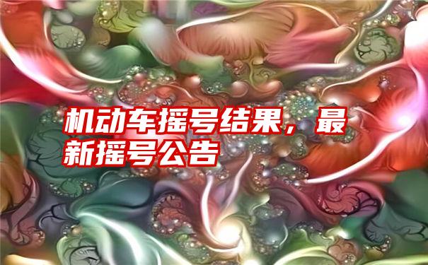 机动车摇号结果，最新摇号公告