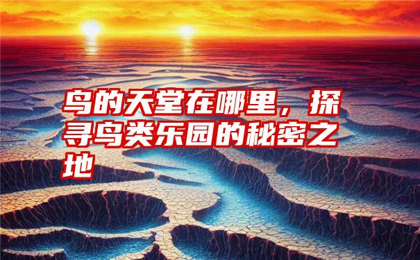 鸟的天堂在哪里，探寻鸟类乐园的秘密之地