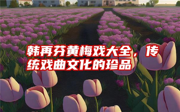 韩再芬黄梅戏大全，传统戏曲文化的珍品