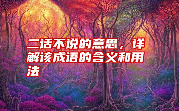 二话不说的意思，详解该成语的含义和用法