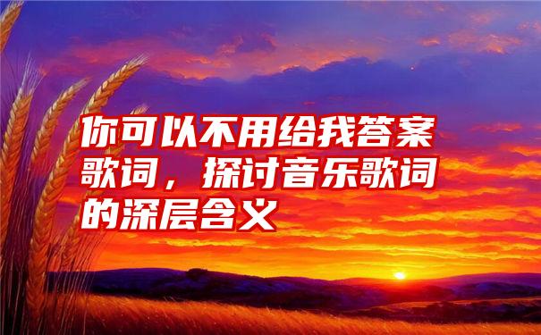 你可以不用给我答案歌词，探讨音乐歌词的深层含义