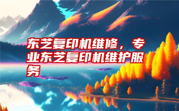 东芝复印机维修，专业东芝复印机维护服务