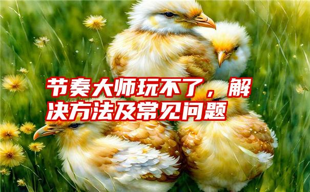 节奏大师玩不了，解决方法及常见问题