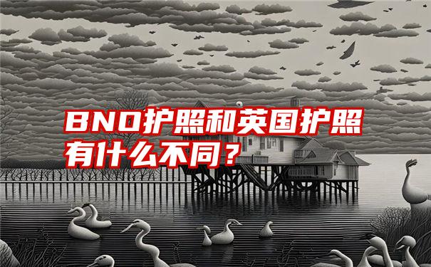 BNO护照和英国护照有什么不同？