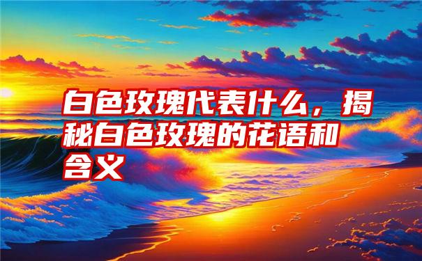 白色玫瑰代表什么，揭秘白色玫瑰的花语和含义