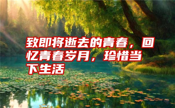 致即将逝去的青春，回忆青春岁月，珍惜当下生活