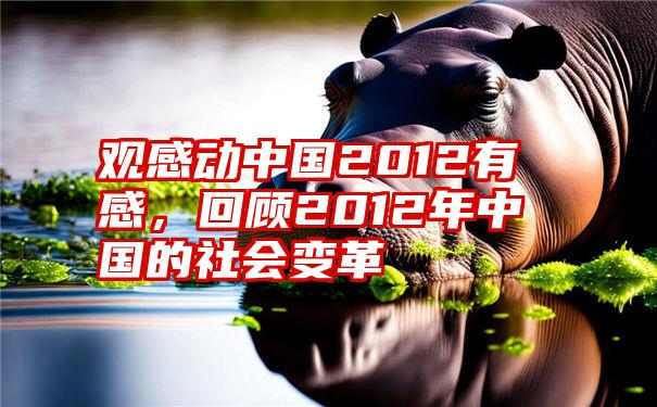 观感动中国2012有感，回顾2012年中国的社会变革