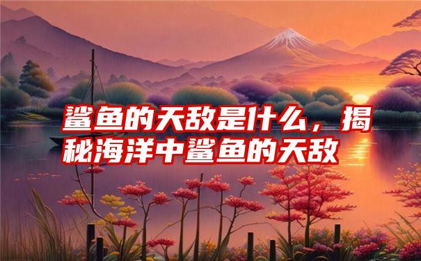 鲨鱼的天敌是什么，揭秘海洋中鲨鱼的天敌