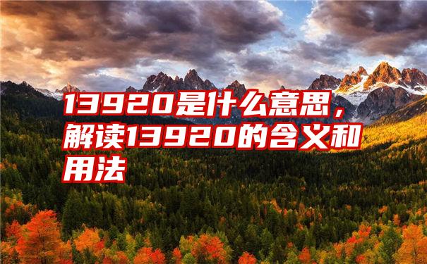 13920是什么意思，解读13920的含义和用法